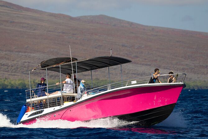 2 Hour Afternoon Lahaina Whale Watch - What you’ll see: breaching, mom-and-baby time, and whale song