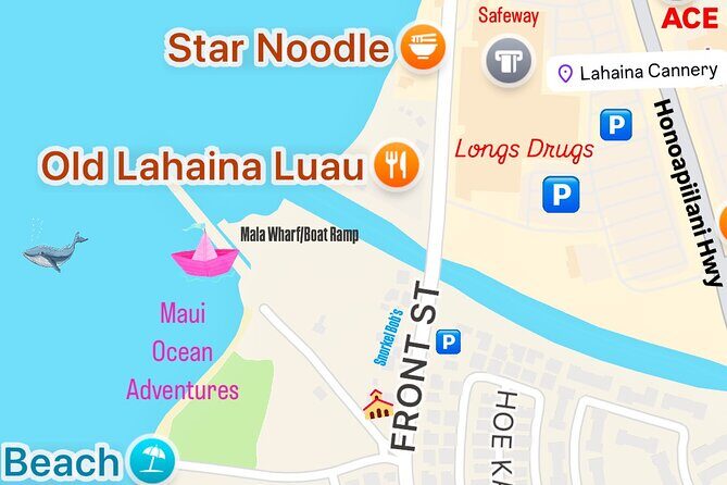 2 hour Lahaina Sunrise Whale Watch - Crew energy and real personalities (not just “nice service”)