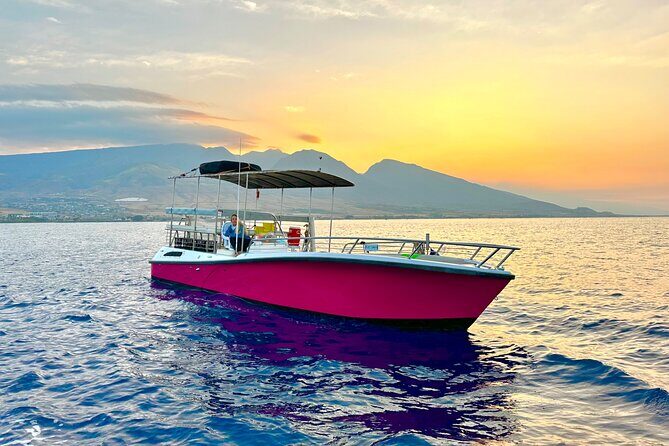 2 hour Lahaina Sunrise Whale Watch - Whale watching that feels close-up: what you might see
