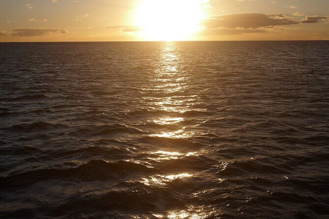 2-Hour Maalaea Luxury Powerboat Sunset Cruise for up to 6 Guests - Sugar Beach and Haycraft Park: long sandy shoreline, real swim-and-watch vibes