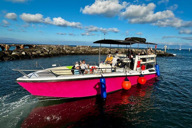 2 Hour Prime Time Maui Whale Watching - Comfort, Safety, and the Sea-Sickness Reality Check
