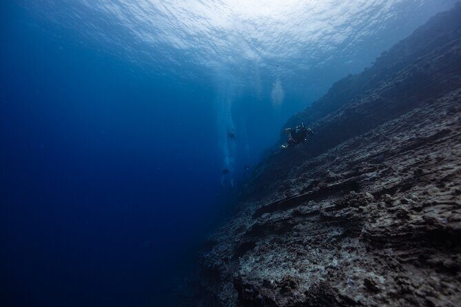 2-Tank Dive Featuring the Molokini Crater - Key takeaways