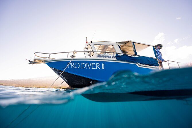 2-Tank Dive Featuring the Molokini Crater - Two Tanks, Two Underwater Stops at Molokini Crater