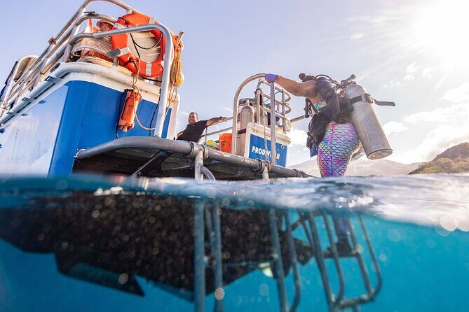 2-Tank Dive Featuring the Molokini Crater - Stop 1 at Molokini Crater Marine Preserve: what you’re likely to see