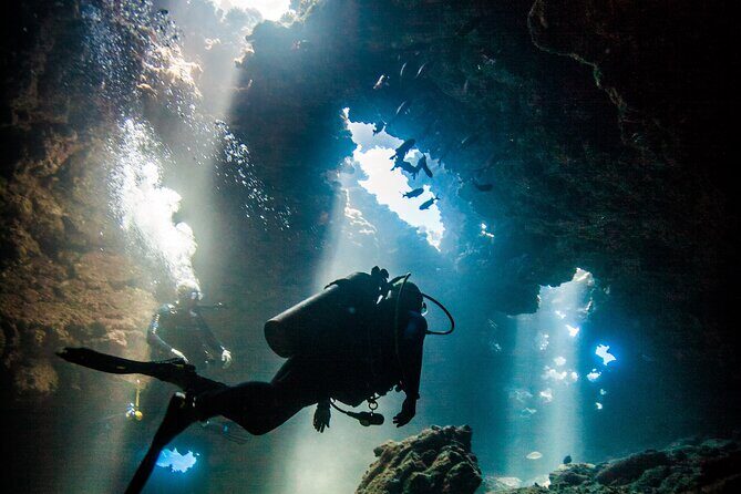 2 Tank Lanai Cathedral Scuba Dive Via Boat for Certified Divers - Key points to know before you go