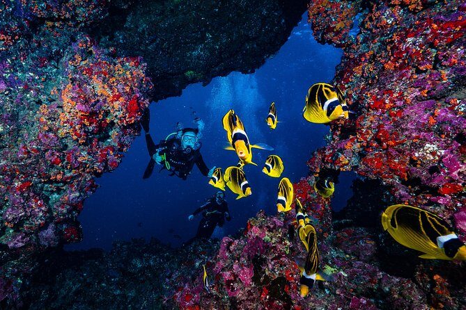 2 Tank Lanai Cathedral Scuba Dive Via Boat for Certified Divers - Morning at Lahaina: why the 6:30 AM start matters