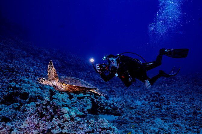 2 Tank Lanai Cathedral Scuba Dive Via Boat for Certified Divers - The two-tank structure: timing, depth, and the snack break