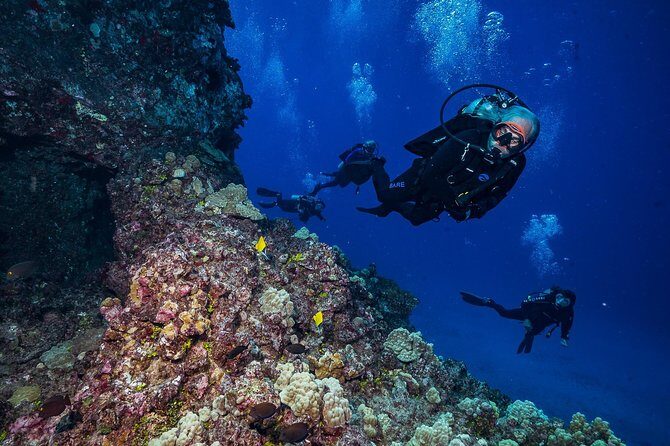 2 Tank Lanai Cathedral Scuba Dive Via Boat for Certified Divers - First stop vs. the real headline: warm-up site strategy