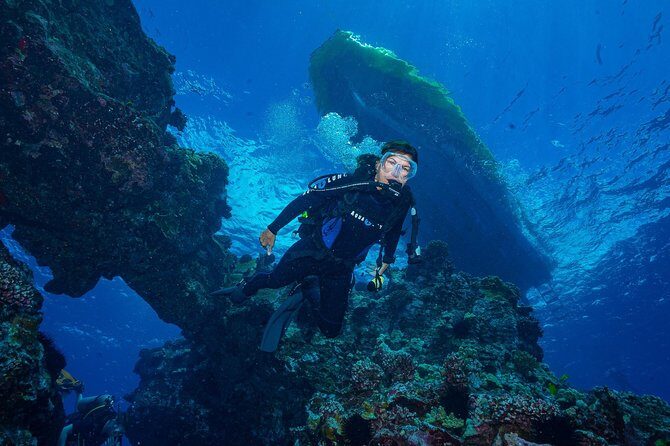 2 Tank Lanai Cathedral Scuba Dive Via Boat for Certified Divers - Wildlife and visibility: what you can realistically expect