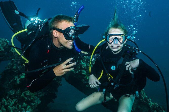 2-Tank Maui Turtle Scuba Dive or Snorkel Boat Tour - Key things that make this tour worth your attention