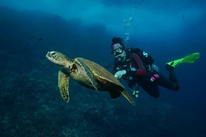 2-Tank Maui Turtle Scuba Dive or Snorkel Boat Tour - Snorkelers on board: keeping your whole group together