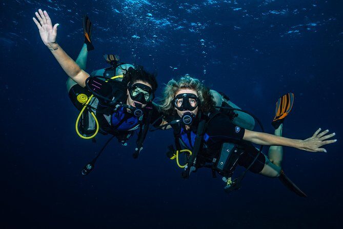 2-Tank Maui Turtle Scuba Dive or Snorkel Boat Tour - The guide factor: safety + spotting marine life without turning it into a lecture