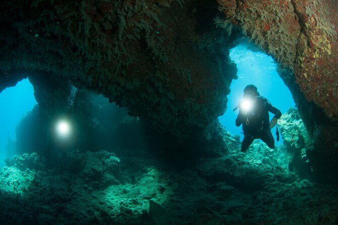 3-Tank Dive Featuring the Molokini Crater - What You Can Expect to See: From Rays to Eels to the Big Weird Stuff
