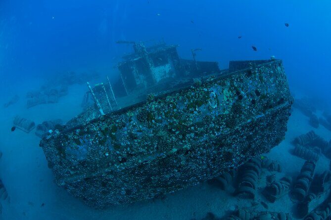 3-Tank Dive Featuring the Molokini Crater - Price and Value: Is $375 Worth a 3-Tank Day?