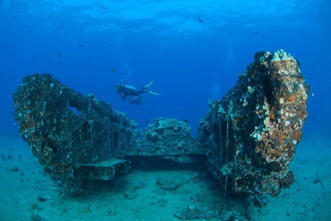 3-Tank Dive Featuring the Molokini Crater - Who Should Book This (and Who Should Skip It)