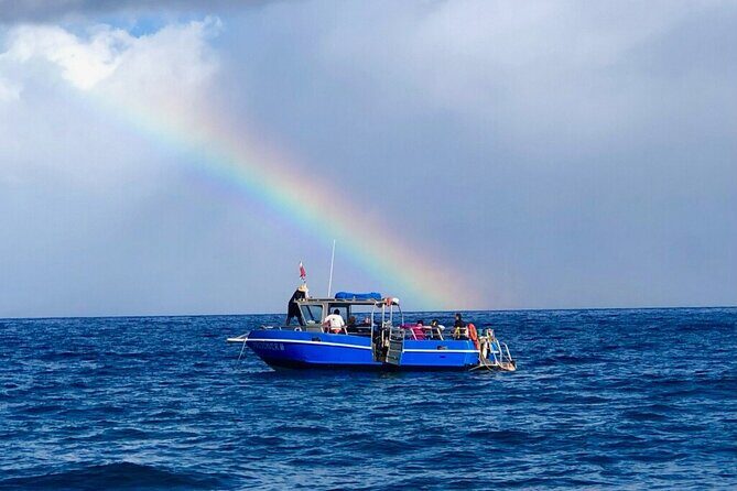 3-Tank Dive Featuring the Molokini Crater - The 3-Tank Scuba Day: More Time Underwater, More Ways to Match the Conditions
