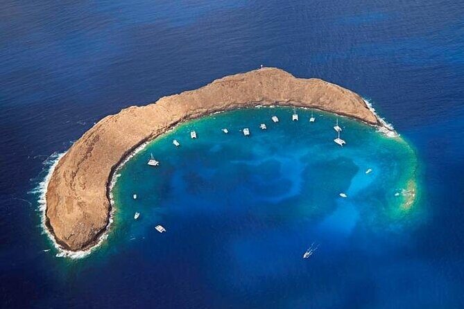 4-Hour Koa Kai Molokini Adventure Snorkel - Key Things I’d Highlight Before You Go
