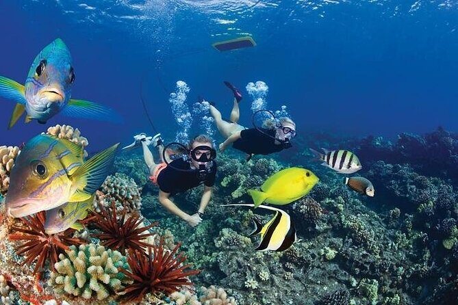 4-Hour Koa Kai Molokini Adventure Snorkel - Value Check: Is $203 Worth a 4-Hour Molokini Morning?