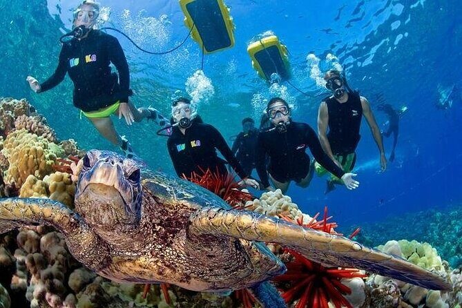 4-Hour Koa Kai Molokini Adventure Snorkel - Maalaea Harbor at 7:00am: A Morning That Starts Calm and Practical
