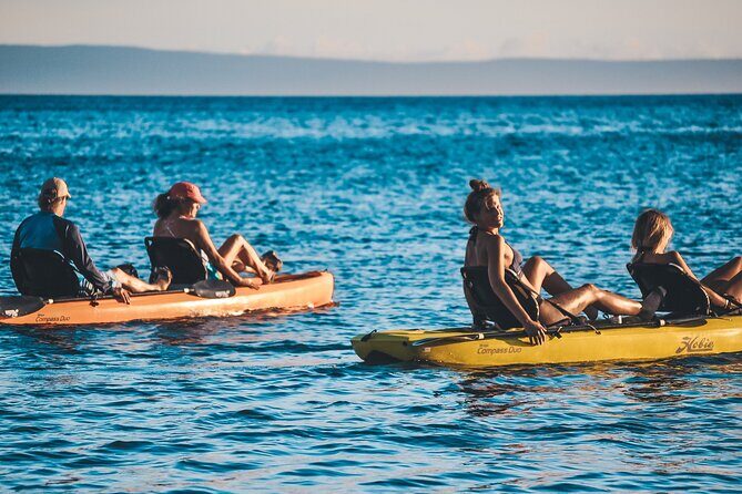4 hour Private Custom Kayak Tour Lahaina - Value Check: What You’re Really Paying For