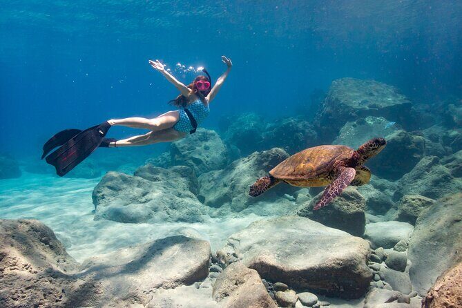 4 hour Private Custom Kayak Tour Lahaina - Private Custom Means You Call the Shots