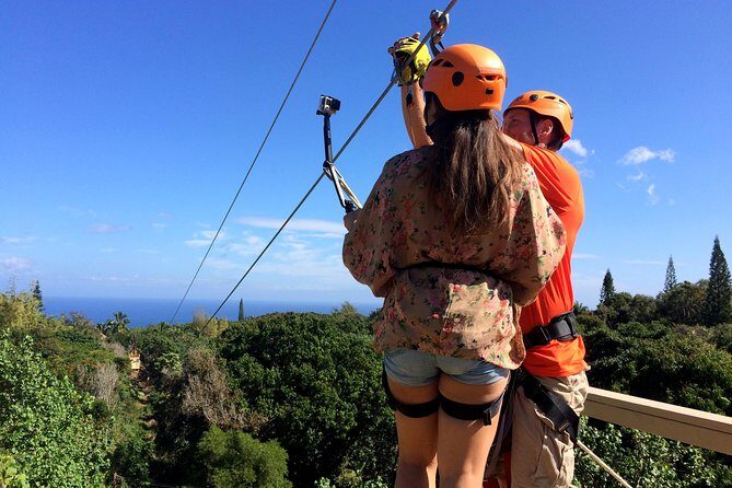 5 Line Jungle Zipline Eco Adventure - Key points to know before you book