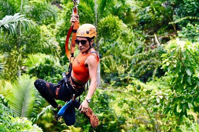 5 Line Jungle Zipline Eco Adventure - The course route: tropical forest, plant nursery, and a hanging bridge moment