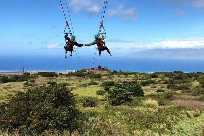 6 Dual-Zipline Mountain Adventure in Maui - Hawaii’s Longest Suspension Bridge: Why the Walk Matters