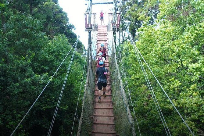 6 Dual-Zipline Mountain Adventure in Maui - Who Should Book This 6 Dual-Zipline Mountain Adventure
