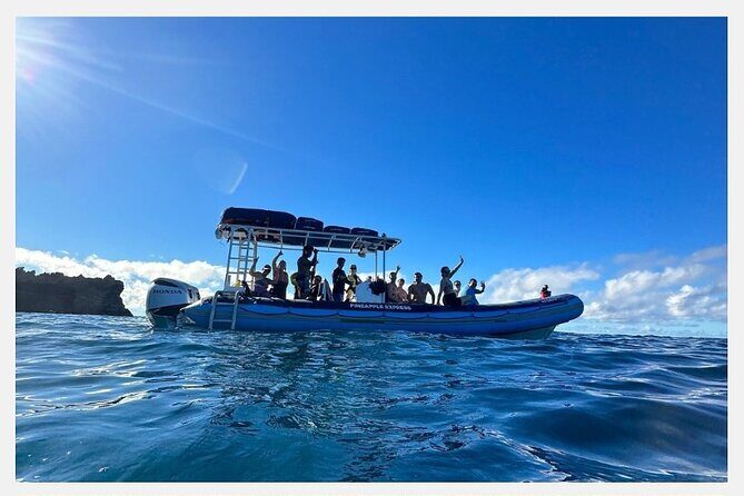 All-Inclusive 5.5 hr La Perouse Bay & Molokini Sea Cave Boat Tour - Is $238.50 worth it? A value check that goes beyond the number