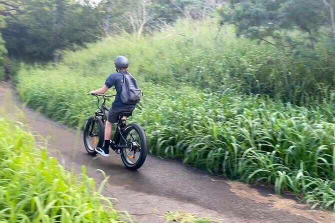 Aloha West Maui 2-Hour Self-Guided Electric Bike Tour - The map, possible beach breaks, and Banyan Tree Park style detours