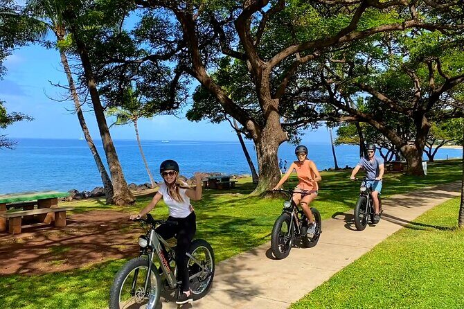 Aloha West Maui 2-Hour Self-Guided Electric Bike Tour - Safety, tires, and the all-terrain reality check