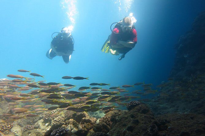 Beginner Scuba Dive in Lahaina: Swimming Required - Meeting at Kahekili Beach Park: What the Start Feels Like