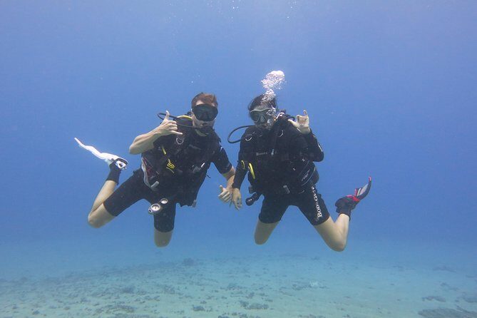 Beginner Scuba Dive in Lahaina: Swimming Required - What Happens Underwater: From Shallow Skills to Reef Wildlife