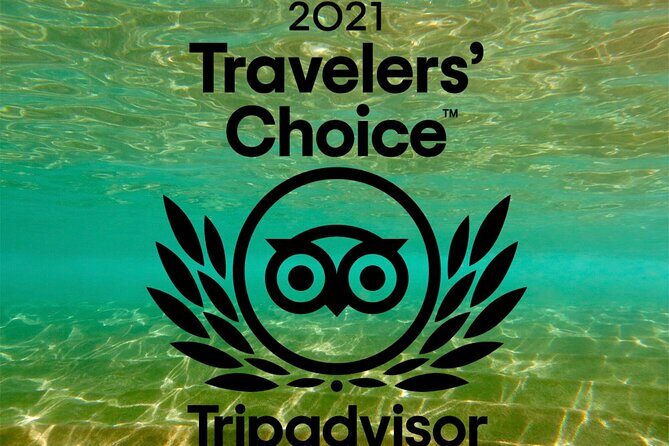 Beginner Scuba Dive in Lahaina: Swimming Required - Small Group Dynamics: Why Max 8 People Changes Everything