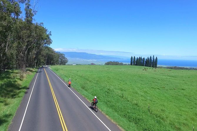 Best Haleakala Downhill Self-Guided Bike Tour with Maui Sunriders - What you really get for $139 (value math that makes sense)