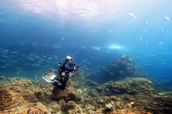 Certified Divers! Scuba dive the Ka'anapali Coast and more! - Sarah Sisco, Deborah, and the Kind of Control You Want on a Shore Session