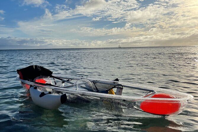 Clear Bottom Glassy Kayak Rental | MAUI | Safe and Stable Kayaks - What Your 4 Hours Look Like on the Water