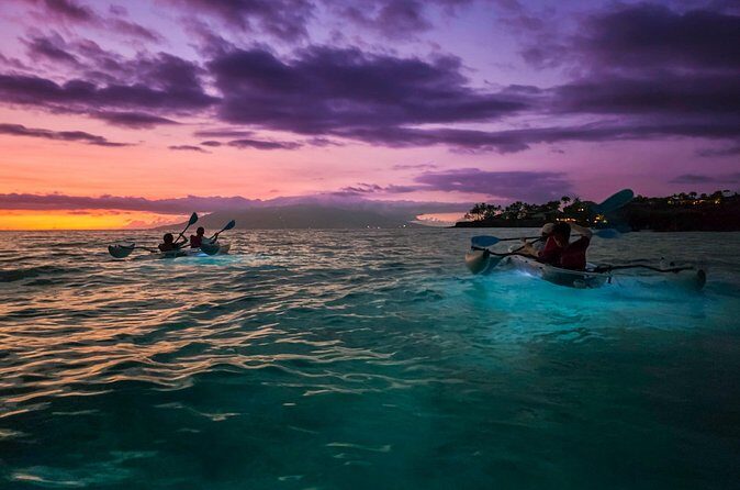 Clear Kayak Sunset and Glow Tour in Maui - Should You Book This Clear Kayak Sunset and Glow Tour?