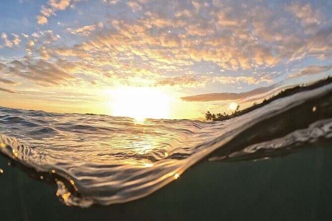 Clear Kayak Sunset and Glow Tour in Maui - Clear Kayaks at Golden Hour: Maui Views You Can Read