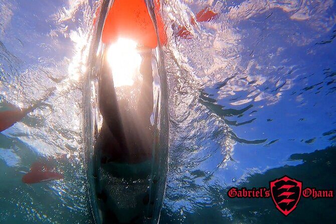 Clear Kayak Tour with Pontoons and Optional Snorkeling-Unlimited - Key Things You’ll Notice Right Away