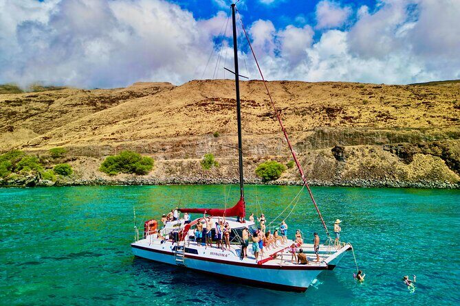 Discover the Magic of Coral Garden’s Turtle Town - Maalaea Harbor - Whale sightings: the seasonal bonus on your sail