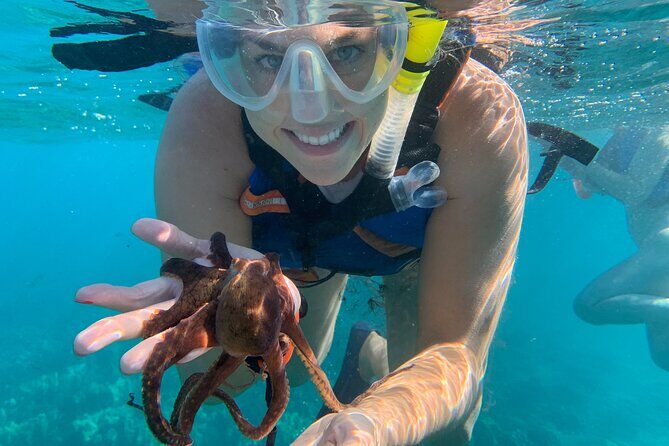 E-Scooter Snorkel With Photo and Video At Turtle Town - Turtle Town snorkeling, upgraded with e-scooters