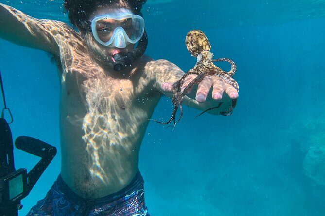 E-Scooter Snorkel With Photo and Video At Turtle Town - Guides that can make or break your day