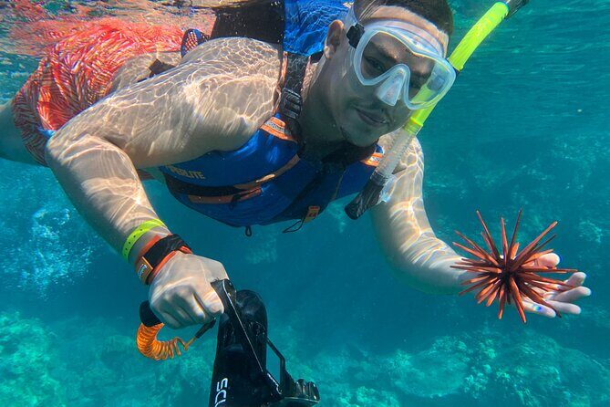E-Scooter Snorkel With Photo and Video At Turtle Town - Price and value: what $159 buys you on Maui