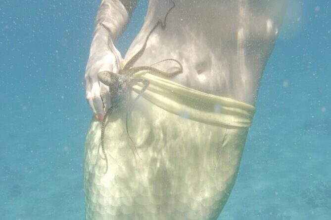 Eco Sea Scooter Beach Entry - Rent a GoPro Video tape Sea Turtles - Snorkel Time With Sea Turtles: What You’ll See