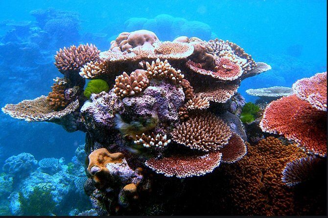 Eco Sea Scooter Guided Beach Tour From The Famous Kapalua Bay - Practical Tips to Make Your Tour Go Smoothly
