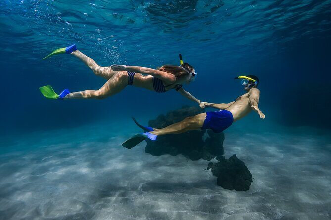 First Timers and Non-Swimmers Snorkeling Experience in Wailea - How the 2 hours usually plays out: from meeting point to back on shore