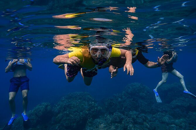 First Timers and Non-Swimmers Snorkeling Experience in Wailea - Sea turtles, lava arches, and the kind of snorkeling you can actually enjoy