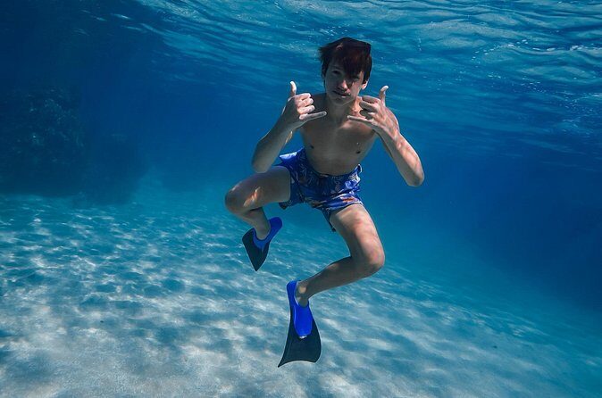 First Timers and Non-Swimmers Snorkeling Experience in Wailea - Gear that makes or breaks comfort: PFDs, fins, and optional sea scooters